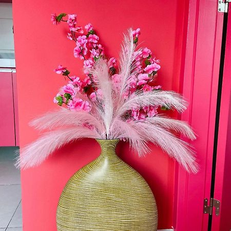 O Apartamento Rosa Joao Pessoa Bagian luar foto
