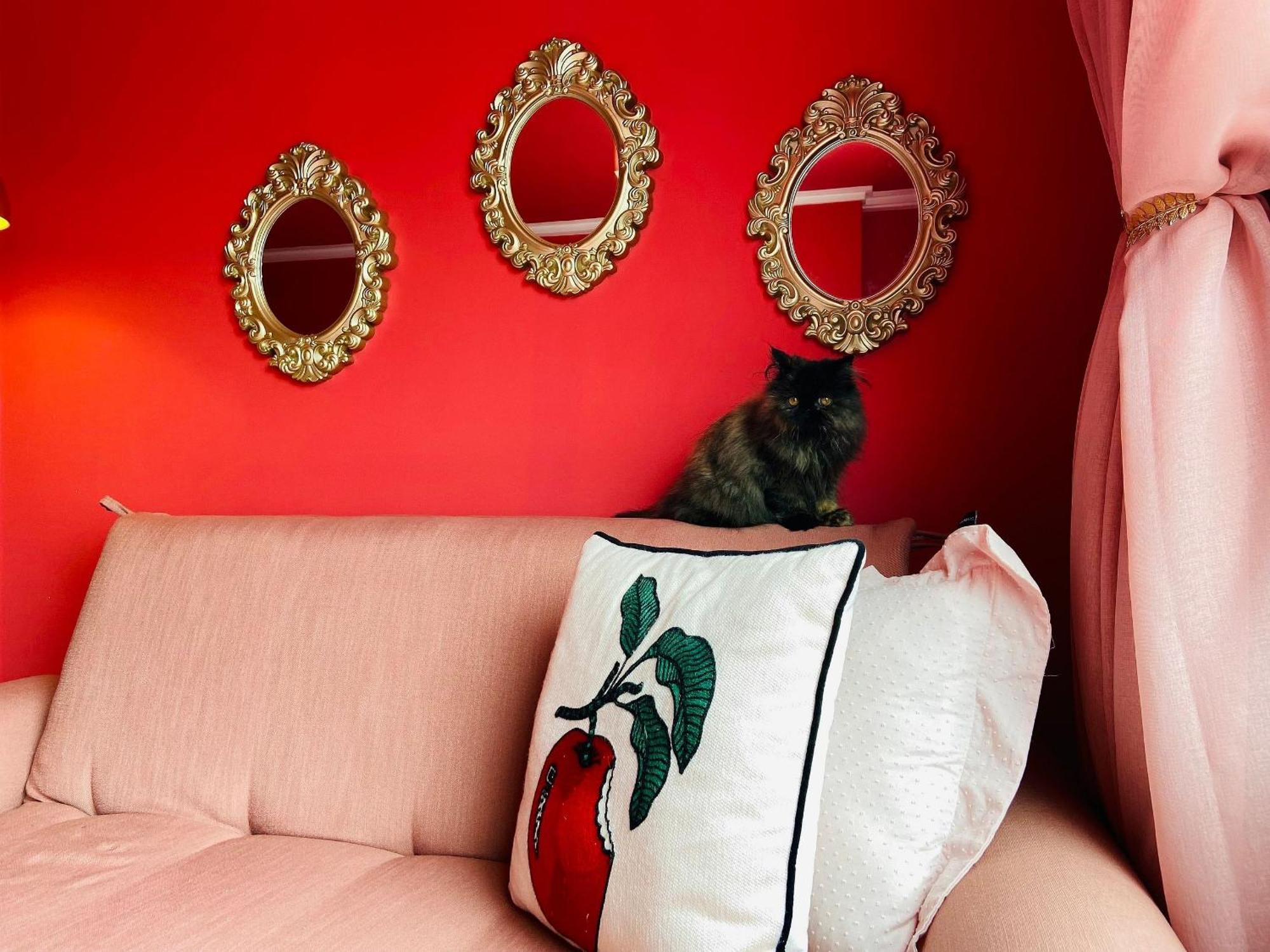 O Apartamento Rosa Joao Pessoa Bagian luar foto